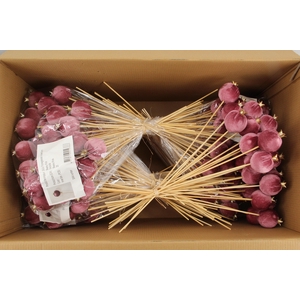 Stick Pomegranate V.6cm Pink