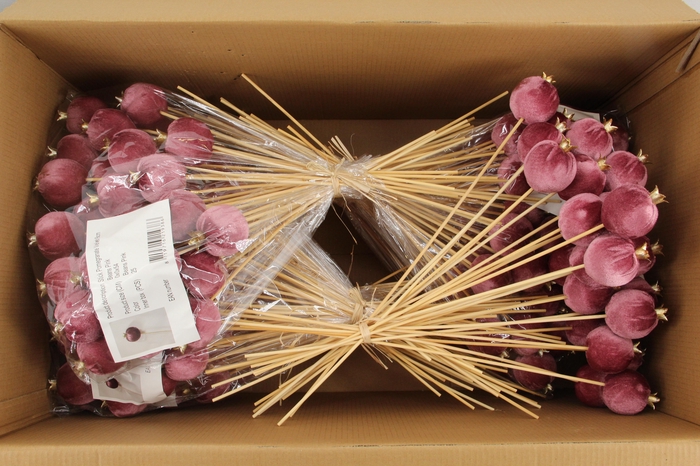 <h4>Stick Pomegranate V.6cm Pink</h4>