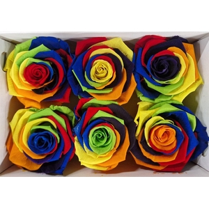 Ro Pres Classic Rainbow