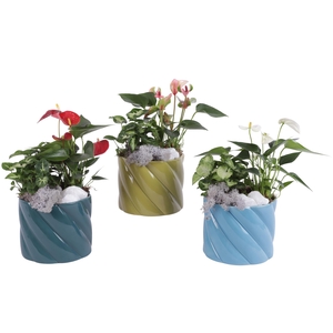 Yearround Arr. Indoor Ceramic Fresh Breeze FB674 Ø14cm 2PP