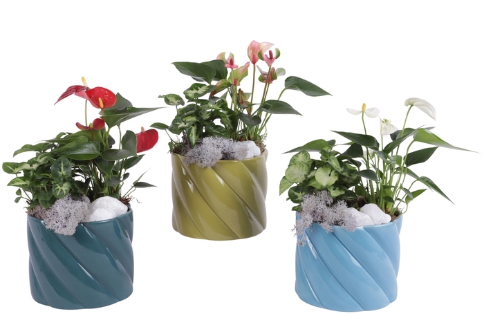 <h4>Yearround Arr. Indoor Ceramic Fresh Breeze FB674 Ø14cm 2PP</h4>