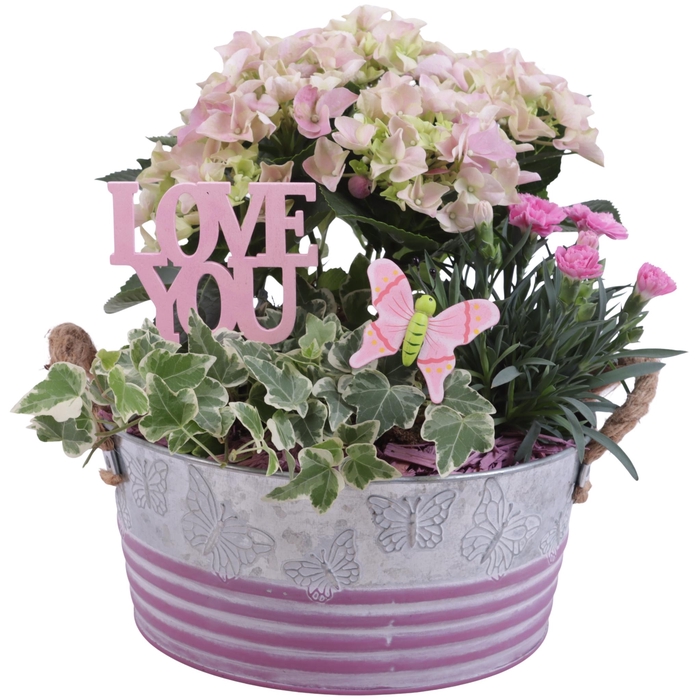 <h4>Mothersday Arr. Outdoor Zinc Grey/Pink Butterfly Ø24cm 2PP</h4>