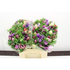 ANEMONE 'GALIL PASTEL' MIX