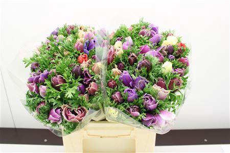 <h4>ANEMONE COR. 'GALIL PASTEL'</h4>