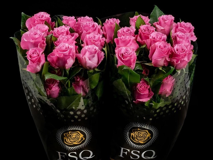 <h4>R GR Breathless</h4>