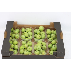 Sier Malusappel Groen Plat X8