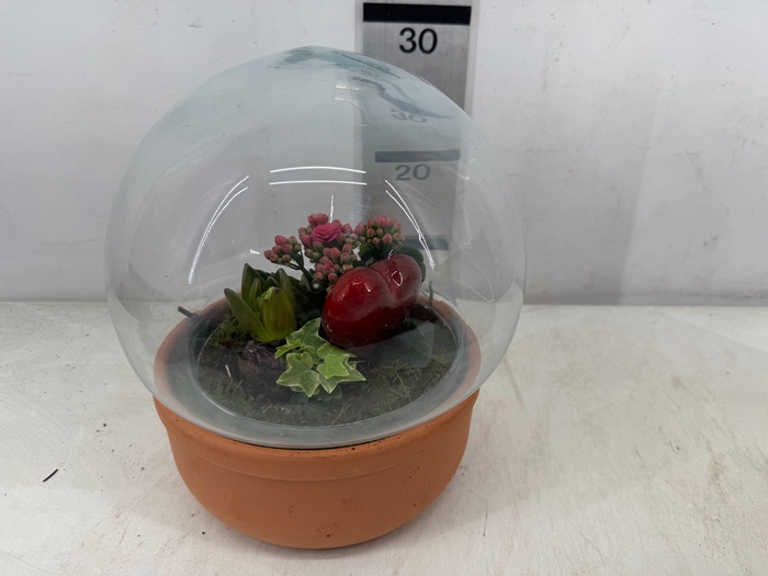 <h4>ARR PL IN SCHAAL</h4>