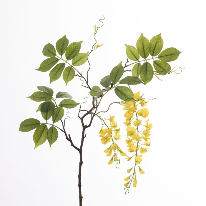 <h4>AF Wisteria L115cm Yellow</h4>