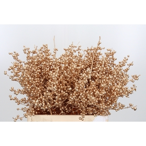 Ilex Kl Bh Antiek Goud