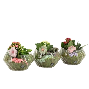 21912: Contradiction arrangement