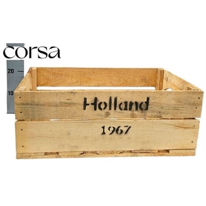 HUIS EN TUINDECO H%