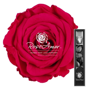 30cm Stem Pin03