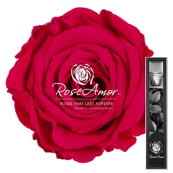 30cm Stem Pin03