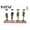 Overig kamerplanten gemengd arrangement Tube Glas MIX-TUBLED