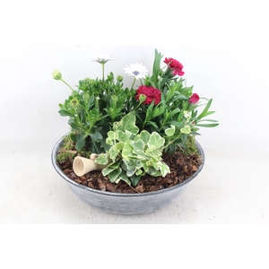 arr4 Outdoor PL - Zink antiek schaal Los