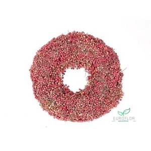 WREATH PEPPERBERRIES H9 D25