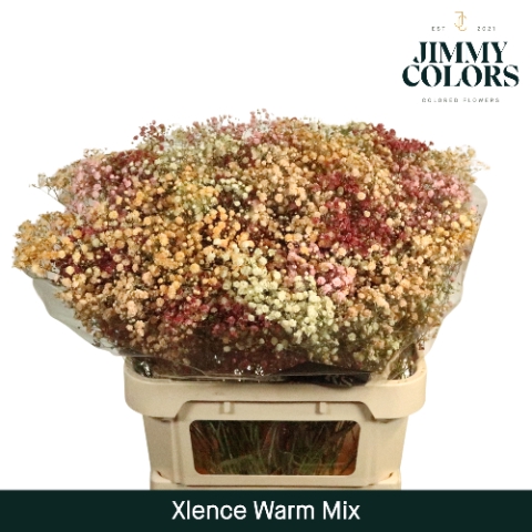 <h4>Gyps Xlence L80 Warm Mix</h4>