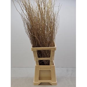 KERST BETULA PER TAK GOUD GLITTER