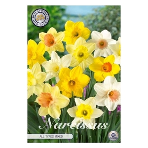 Narcissus All Types Mixed x6 14/16