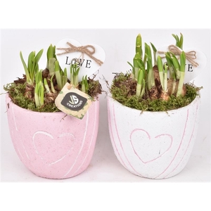 Cement pot met hart decor mix 14cm