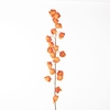 AF Physalis Spray L129cm Orang