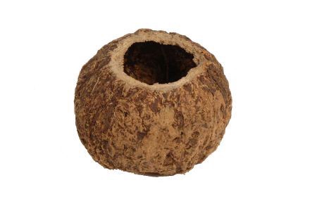 <h4>Coconut Ourico H10D10</h4>