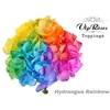 HYDR M RAINBOW L 60 cm