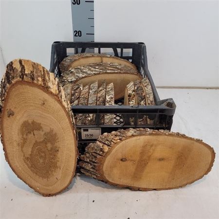 <h4>Houtschijf Ovaal +/- 16x28cm</h4>