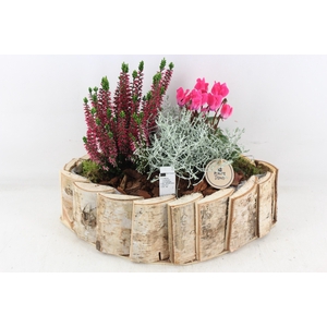 arr4 Outdoor PL - Hout kano L