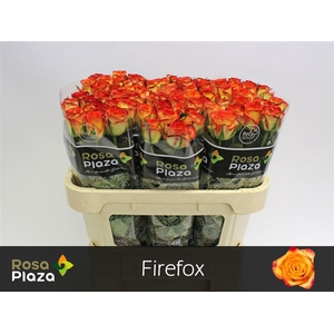 R Gr Firefox
