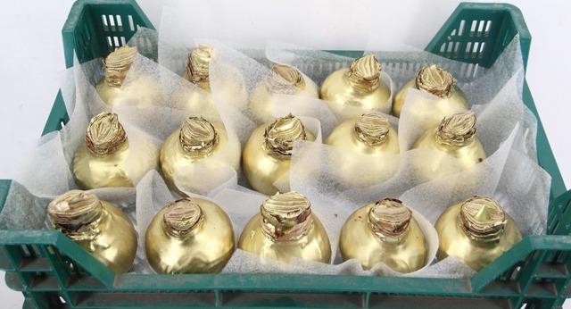 <h4>BOL HIPP WAX GOUD</h4>