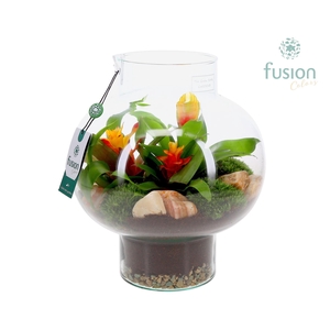 Green Bottle Laura Medium met Bromelia arrangement