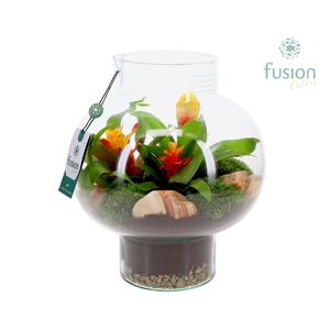 Green Bottle Laura Medium met Bromelia arrangement