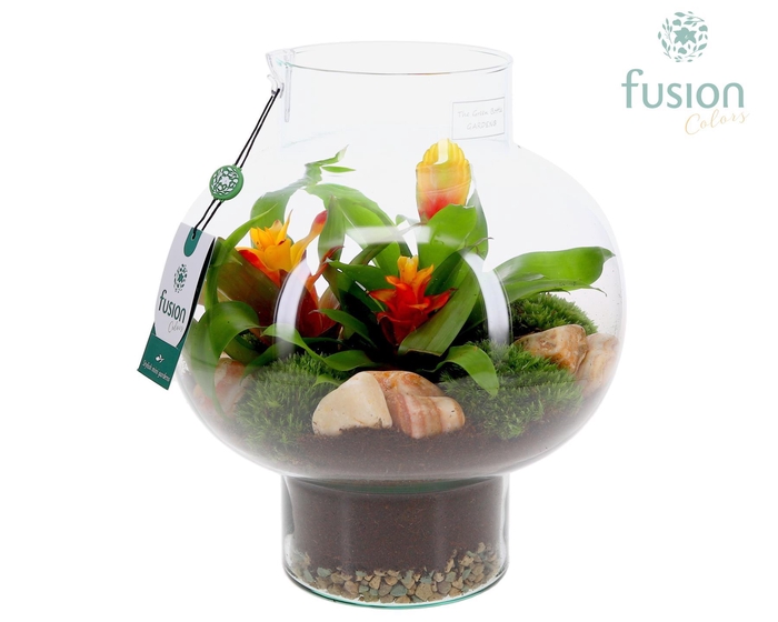 <h4>Green Bottle Laura Medium met Bromelia arrangement</h4>