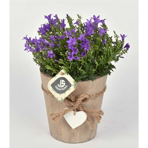 Hout pot met hart 13cm