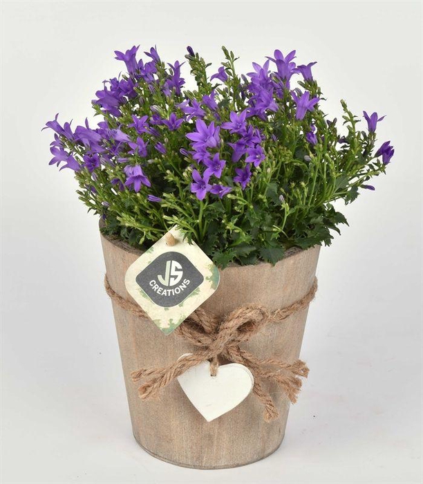 <h4>Hout pot met hart 13cm</h4>