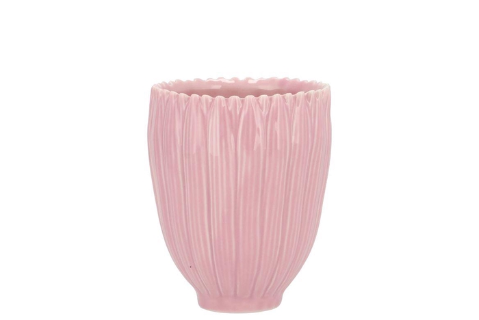 <h4>Bloom Daisy Dreamy Pink Cup 8x8x9cm Nm</h4>