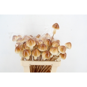 Stick Mushroom 9cm Brown
