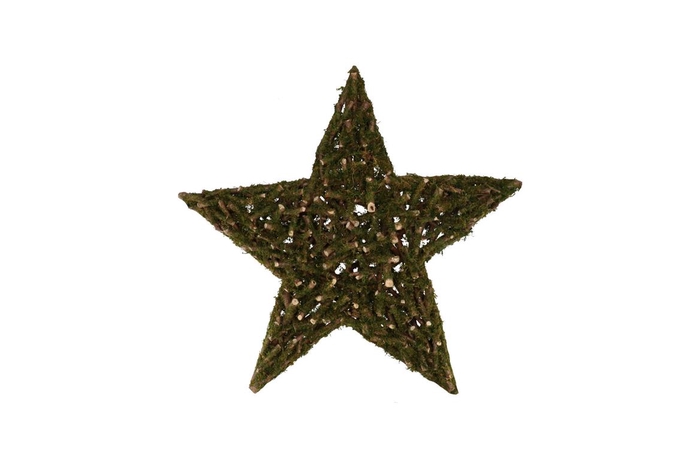 <h4>Festive Star Poplar Moss 50x50x9cm</h4>