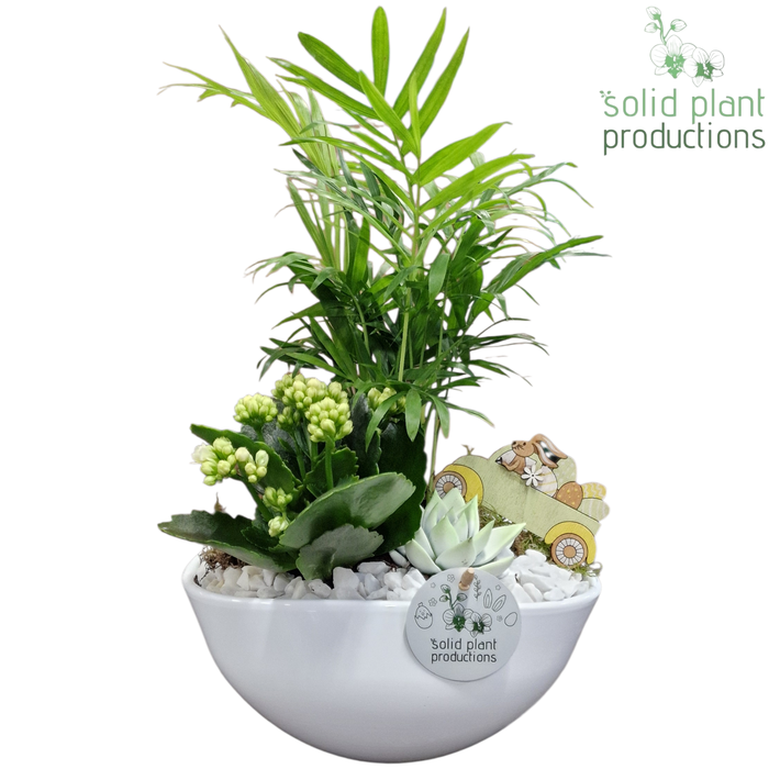 <h4>CE005 Evelyn White Easter</h4>