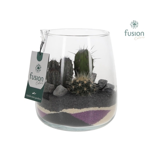 Glazen vaas Alzada met Cactus arrangement