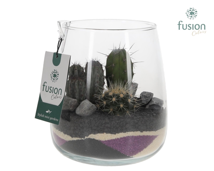 <h4>Glazen vaas Alzada met Cactus arrangement</h4>