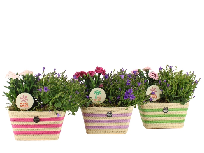 <h4>31600: Outdoor summer arrangement</h4>