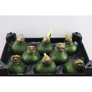 HIPP WAXED GLITTER GREEN x8