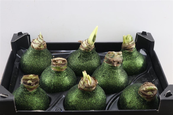 <h4>HIPP WAXED GLITTER GREEN x8</h4>