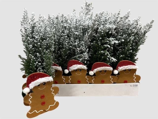 <h4>KERSTBOOM VERSIERD</h4>