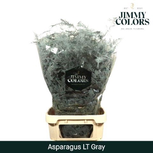 Aspa lang getopt Grey