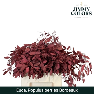 Pop bes per bos 200g Bordeaux