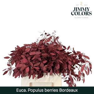 Pop Bes Per Bos 200g Bordeaux