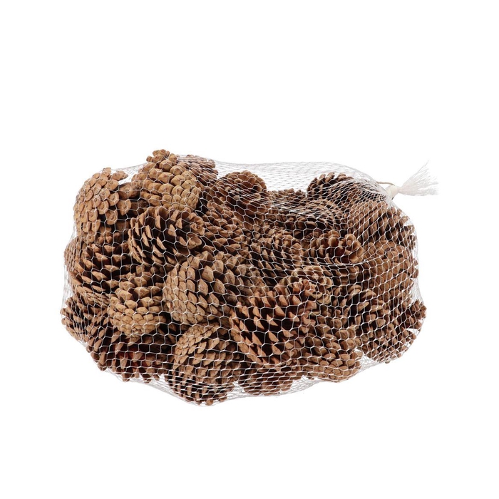 <h4>Nature Austrian Pinecone Natural P/1kg</h4>